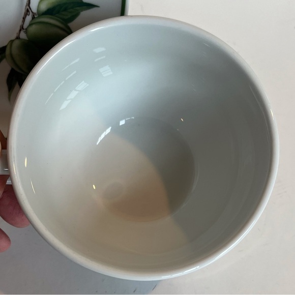 Apilco French Elysian Garden Porcelaine Oversized Breakfast Cup and Saucer - Picture 7 of 15